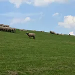 Haus Meererleben - Urlaub Mit Hund An Der Nordsee Schweiburg