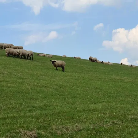 Haus Meererleben - Urlaub Mit Hund An Der Nordsee Schweiburg