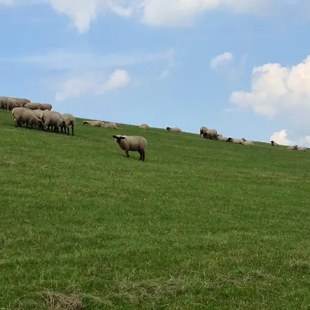 Vakantiehuis Haus Meererleben - Urlaub Mit Hund An Der Nordsee Schweiburg