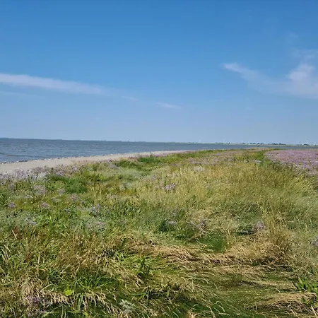 Haus Meererleben - Urlaub Mit Hund An Der Nordsee Prázdninový dům Schweiburg