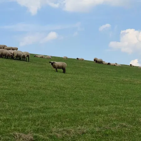Haus Meererleben - Urlaub Mit Hund An Der Nordsee Schweiburg