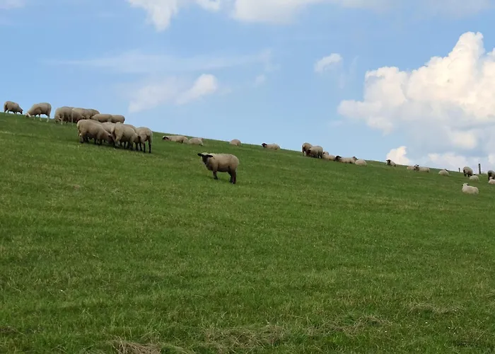 Casa de Férias Haus Meererleben - Urlaub Mit Hund An Der Nordsee Schweiburg