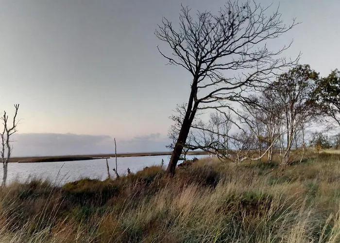 Haus Meererleben - Urlaub Mit Hund An Der Nordsee