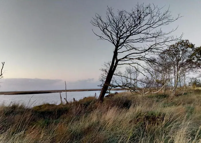 Haus Meererleben - Urlaub Mit Hund An Der Nordsee * Schweiburg