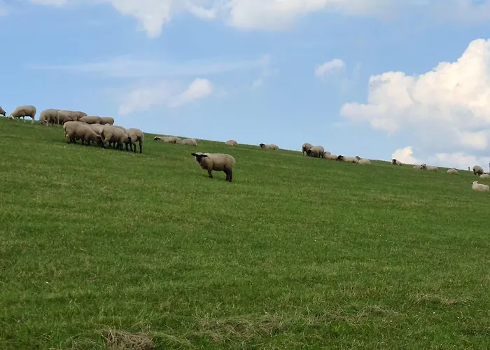 Haus Meererleben - Urlaub Mit Hund An Der Nordsee Schweiburg